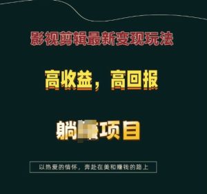 影视剪辑最新变现玩法,高收益,高回报,躺Z项目【揭秘】-湘创网