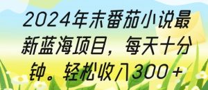 2024年末番茄小说最新蓝海项目，每天十分钟，轻松收入3张-湘创网