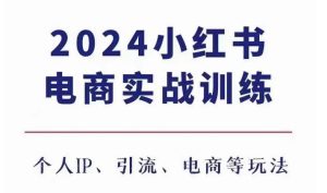 2024小红书电商3.0实战训练,包含个人IP、引流、电商等玩法-湘创网