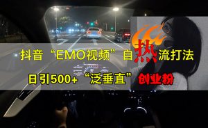 (13029期)抖音EMO视频自热打法,日引500+“泛垂直”创业粉-湘创网