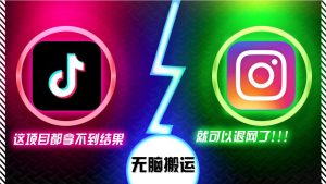 抖音无脑搬运,如果这项目都拿不到结果,你可以退网了-湘创网