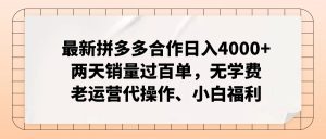 (12869期)拼多多最新合作日入4000+两天销量过百单,无学费、老运营代操作、小白福利-湘创网
