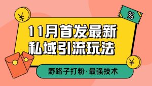 11月首发最新私域引流玩法,自动克隆爆款一键改写截流自热一体化 日引300+精准粉-湘创网