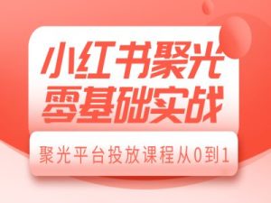 小红书聚光零基础实战,聚光平台投放课程从0到1-湘创网