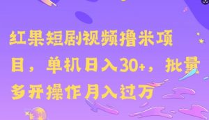 红果短剧撸米,无脑挂JI项目,单机日入30米,可批量复制操作-湘创网