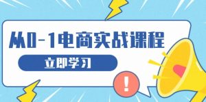 (13594期)从零做电商实战课程,教你如何获取访客、选品布局,搭建基础运营团队-湘创网