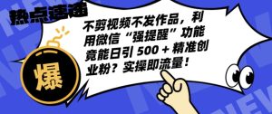 不剪视频不发作品,视频号私信日引 500 + 精准创业粉?实操即流量!-湘创网