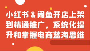 小红书&闲鱼开店上架到精通推广,系统化提升和掌握电商蓝海思维-湘创网
