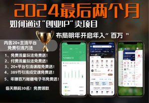 (13322期)2024最后两个月如何通过”创业IP“卖项目年入”百万“,创业IP+最强引流...-湘创网