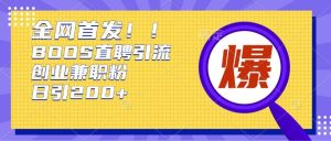 通过Boss直聘,每天轻松钓到200+多条创业大鱼的秘籍【揭秘】-湘创网