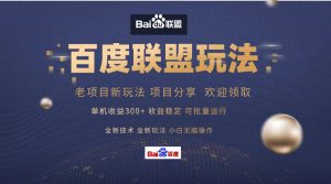 (13076期)百度联盟 单机300+课程分享 小白可无脑操作-湘创网