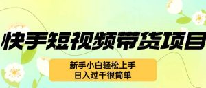 (12957期)快手短视频带货项目,最新玩法 新手小白轻松上手,日入过千很简单-湘创网