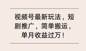 视频号最新玩法,短剧推广,简单搬运,单月收益过W-湘创网