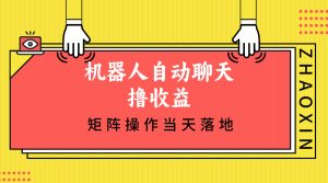 (12908期)机器人自动聊天撸收益,单机日入500+矩阵操作当天落地-湘创网