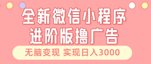(13197期)全新微信小程序进阶版撸广告 无脑变现睡后也有收入 日入3000+-湘创网