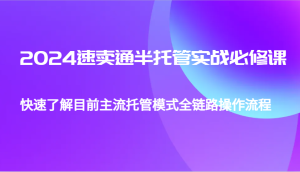 2024速卖通半托管从0到1实战必修课,帮助你快速了解目前主流托管模式全链路操作流程-湘创网
