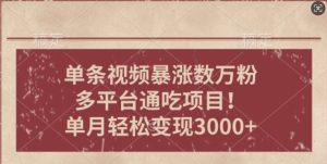 一条作品涨万粉,轻松上手,单月简单变现3000+-湘创网