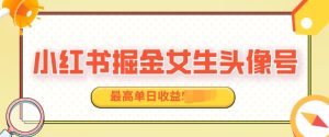 适合在家做的副业项目,小红书掘金女生头像号,最高单日收益上k-湘创网