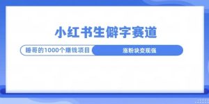 小红书生僻字玩法,快速涨分变现详解-湘创网