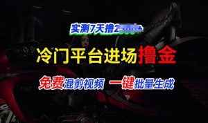 全新冷门平台视频,快速免费进场搞米,通过混剪视频一键批量生成,实测7天撸上千-湘创网