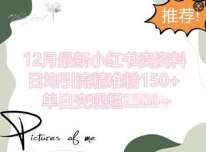 12月最新小红书日均引流精准粉100+,单日变现多张-湘创网