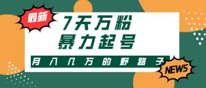 (13047期)3-7天万粉,快手暴力起号,多种变现方式,新手小白秒上手,单月变现几...-湘创网