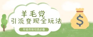 羊毛党引流变现全玩法,年轻市场引流必备-湘创网