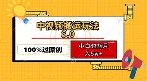 (12838期)中视频搬运玩法6.0,利用软件双重去重,100%过原创,小白也能月入5w+-湘创网