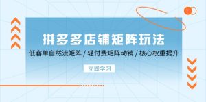 拼多多店铺矩阵玩法:低客单自然流矩阵 / 轻付费矩阵 动销 / 核心权重提升-湘创网