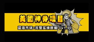 美团神券神会员_入门级教程,外卖券膨胀推广项目【全网首发,全新蓝海】-湘创网