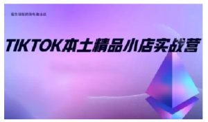 TikTok本土精品小店出海实战营,从入门到高阶,不止0-1!-湘创网