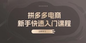 (13289期)拼多多电商新手快速入门课程:涵盖基础、实战与选款,助力小白轻松上手-湘创网