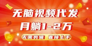 无脑视频代发,月躺1W,无需剪辑,直接上手-湘创网