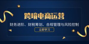跨境电商运营:财务进阶、财税筹划、合规管理与风险控制-湘创网