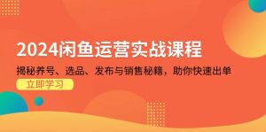 (13290期)2024闲鱼运营实战课程:揭秘养号、选品、发布与销售秘籍,助你快速出单-湘创网