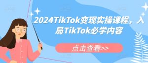 2024TikTok变现实操课程,入局TikTok必学内容-湘创网
