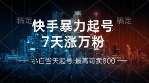 (13142期)快手暴力起号,7天涨万粉,小白当天起号 多种变现方式,账号回收,单月...-湘创网