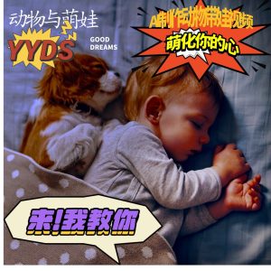 AI制作动物与萌娃互动视频,瞬间萌化你的心,粉丝大米一起收货!-湘创网