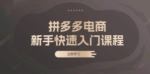 拼多多电商新手快速入门课程:涵盖基础、实战与选款,助力小白轻松上手-湘创网