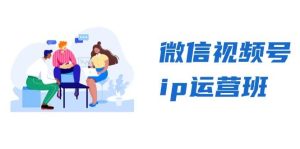 微信视频号ip运营班:特邀分享+CEO直播+精英分享,揭秘视频号变现秘诀-湘创网