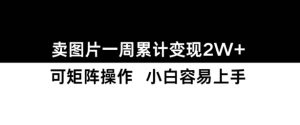 小红书【卖图片】一周累计变现2W+小白易上手-湘创网