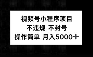 视频号小程序项目,不违规不封号,操作简单 月入5000+-湘创网