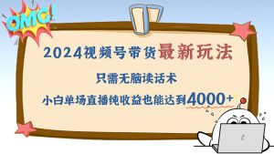 (12837期)2024视频号最新玩法,只需无脑读话术,小白单场直播纯收益也能达到4000+-湘创网