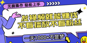 (13283期)无脑操作,只要发视频就能赚钱?不看播放不看粉丝,小白轻松上手,一天...-湘创网
