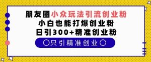 朋友圈小众玩法引流创业粉,小白也能打爆创业粉,日引300+精准创业粉【揭秘】-湘创网
