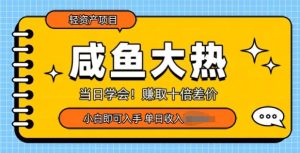 咸鱼大热轻资产类项目,当日学会,赚取十倍差价,小白即可入手-湘创网