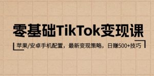 零基础TikTok变现课:苹果/安卓手机配置,最新变现策略,日赚500+技巧-湘创网