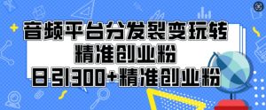 音频平台分发裂变玩转创业粉,日引300+精准创业粉-湘创网