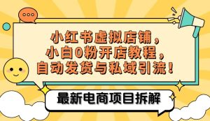 小红书电商,小白虚拟类目店铺教程,被动收益+私域引流-湘创网