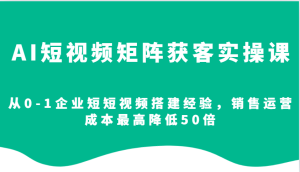 AI短视频矩阵获客实操课,从0-1企业短短视频搭建经验,销售运营成本最高降低50倍-湘创网
